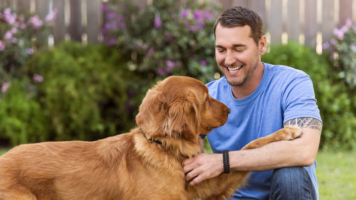 How to Housebreak a Puppy in 8 Steps