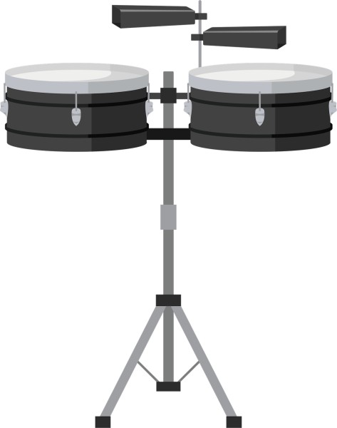 What Are Timbales?