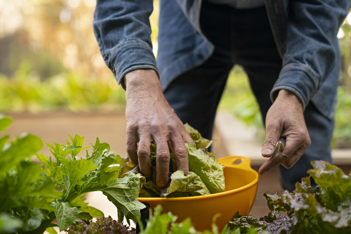 How to Eat Seasonally