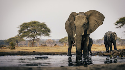 wildlife-preserves-explained