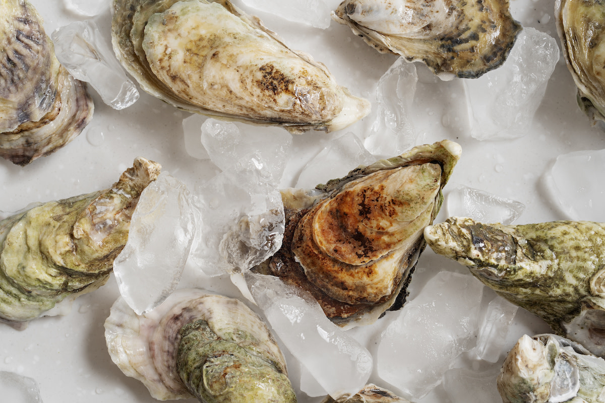 oysters for Mashama Bailey’s Oyster Hand Pies