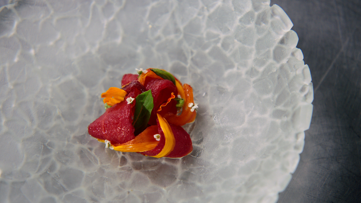 dehydrated tomatoes with herbs