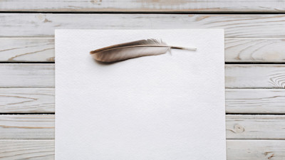 Feather on blank paper with white wood background