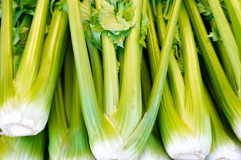 How to Clean Celery and Store Celery Properly 2024 MasterClass
