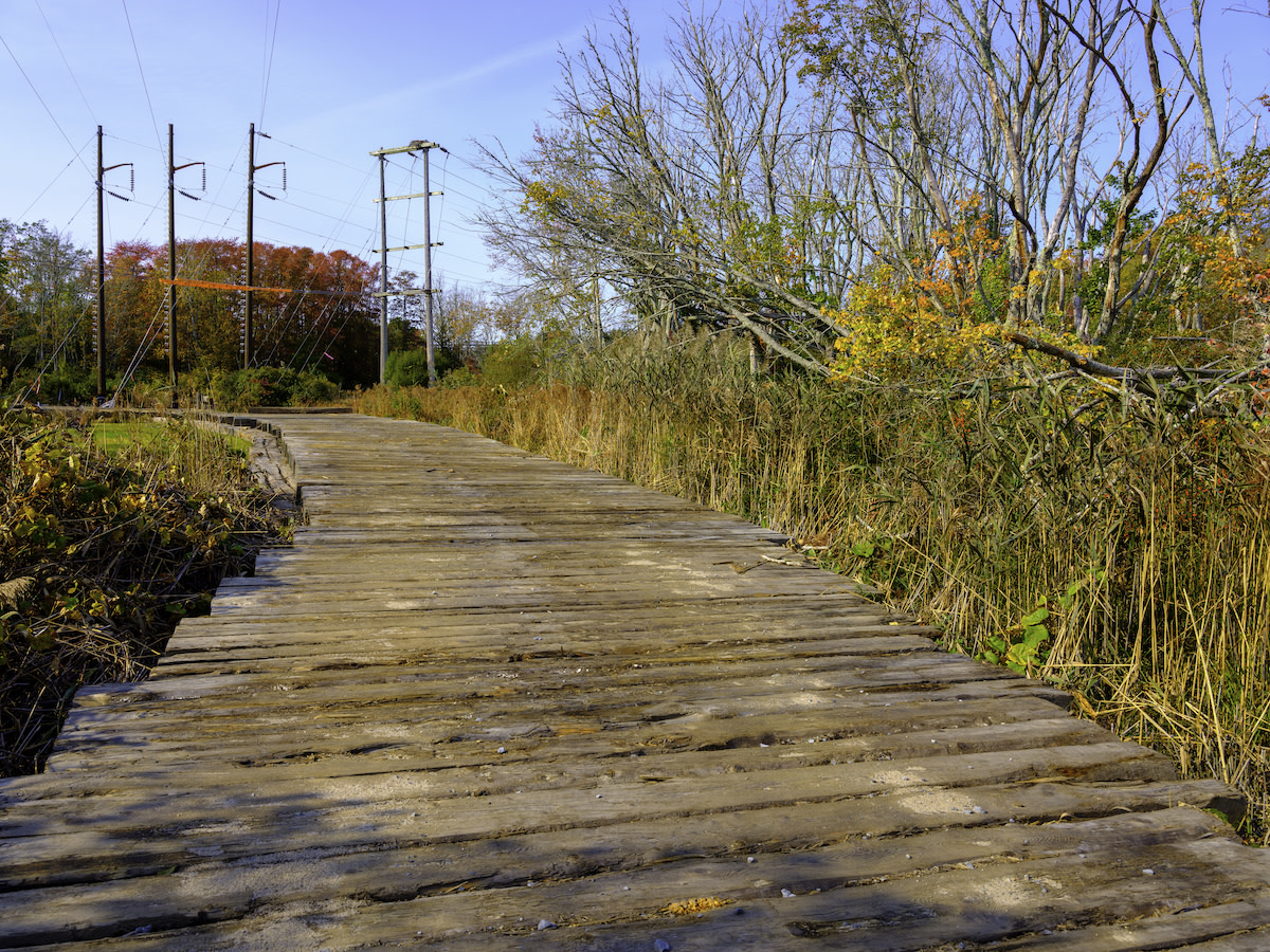 Guide to Easements 10 Types of Property Easements 2022 MasterClass