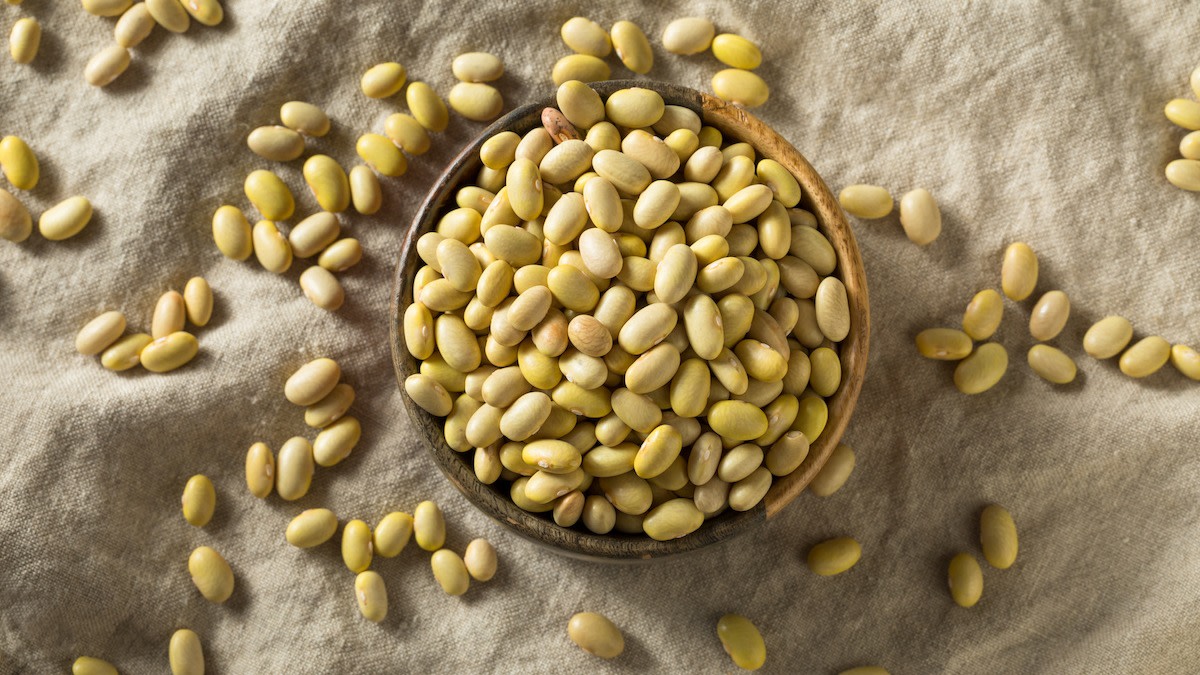 Guide to mayocoba beans 5 ways to enjoy mayocoba beans 2022