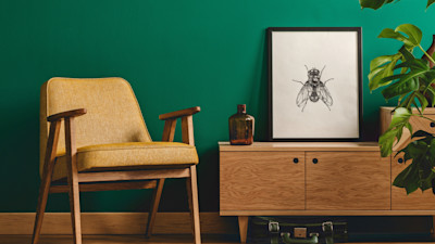 colors-that-go-with-emerald-green