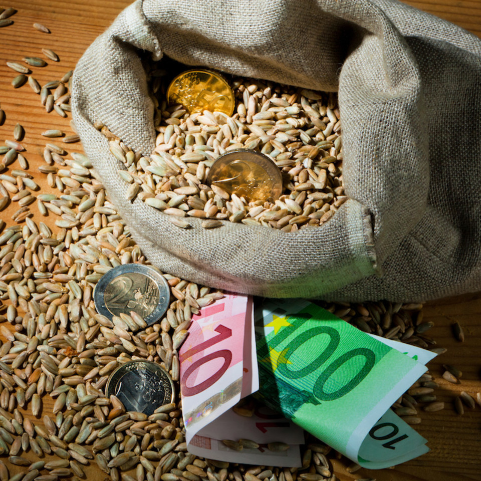 Money in bag of grains on wood table