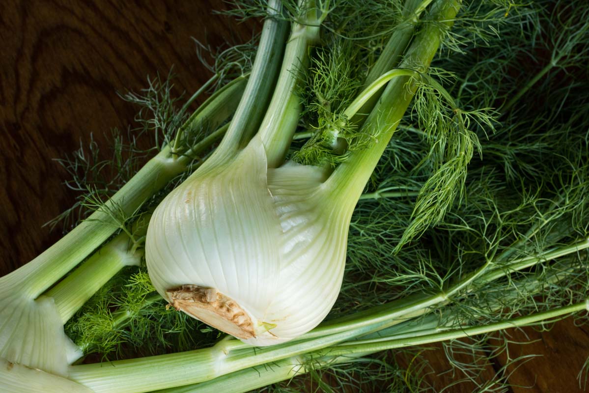 Benefits of Fennel Plus Easy Recipe and Cooking Ideas. 