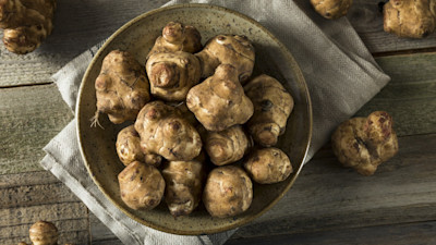 how-to-grow-sunchokes-in-your-vegetable-garden