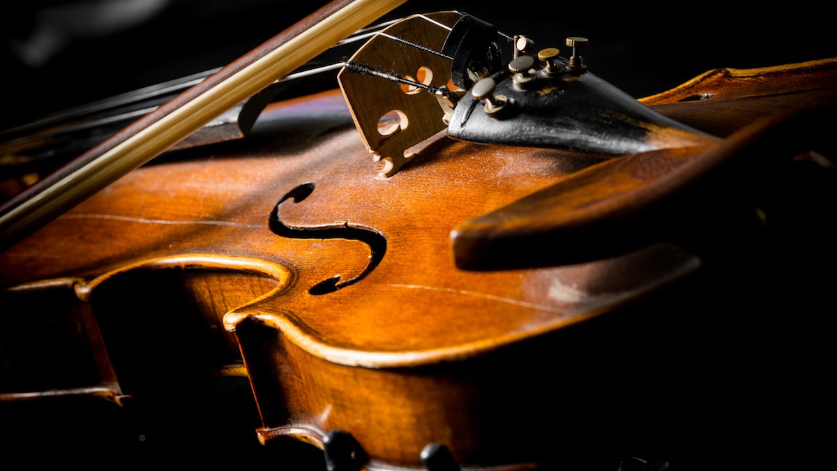 What Are the Different Parts of a Violin and How Do They Work? Learn
