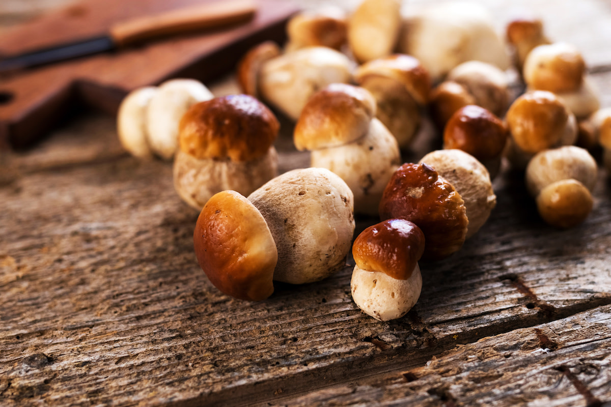 What Are Porcini Mushrooms? A Guide to Buying and Using Porcini