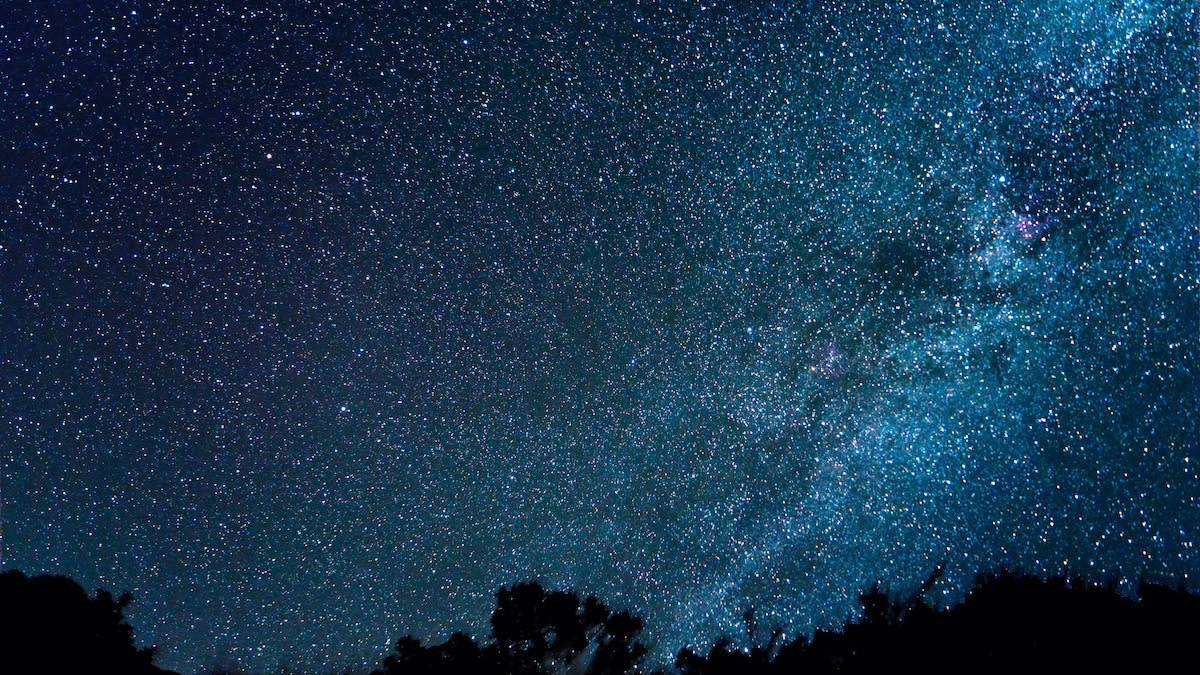 What Is True North? How to Find True North 2022 MasterClass