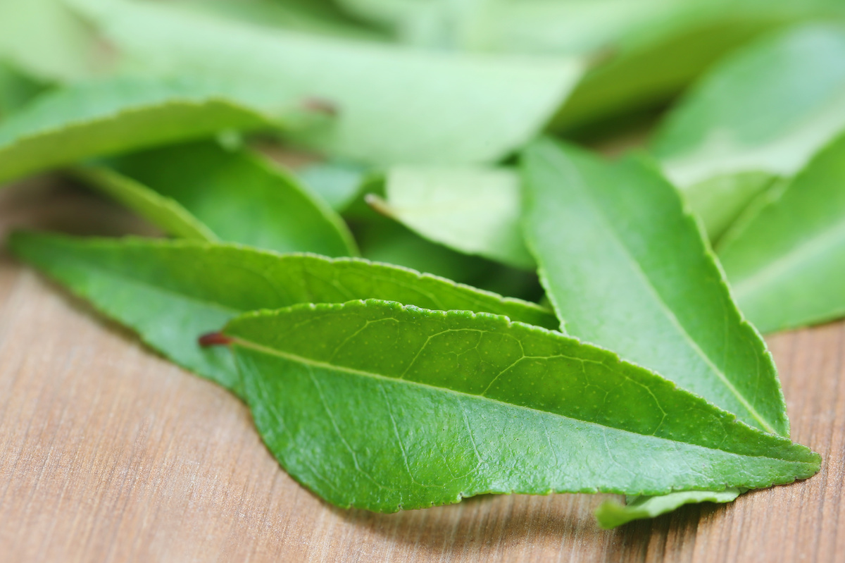 What Are Curry Leaves? How to Use Curry Leaves in Cooking - 2022 -  MasterClass