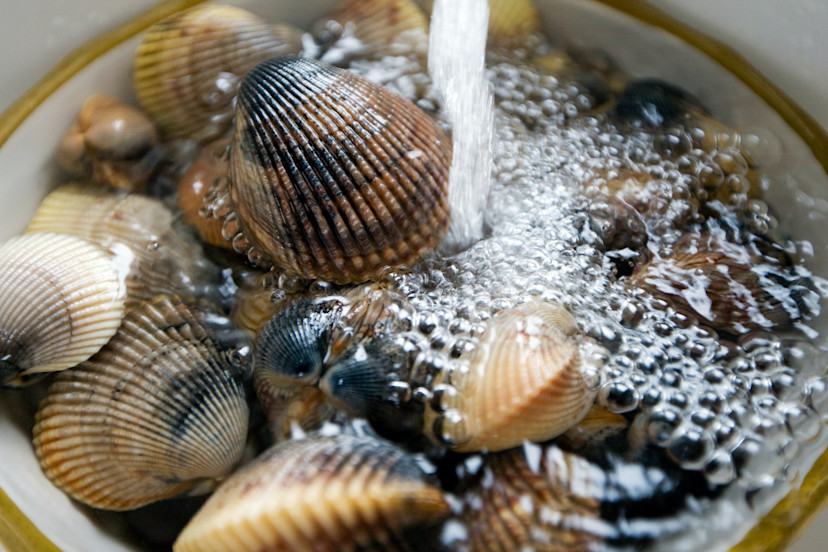 How to Clean Clams in 5 Steps 2024 MasterClass