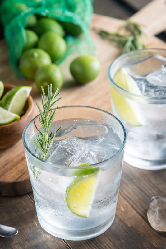 Gin and Tonic Recipe