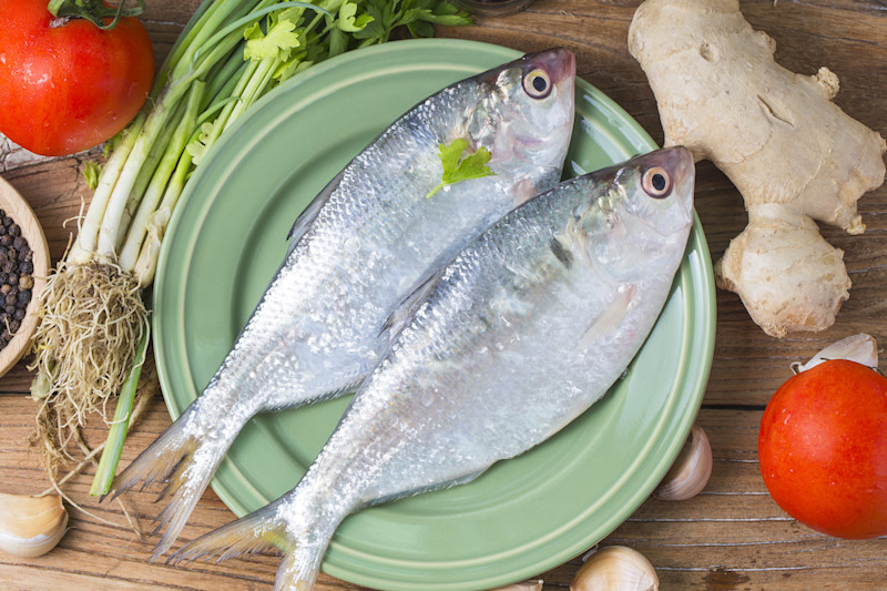 19 Different Types of Fish for Eating and Cooking: Learn How to Eat ...