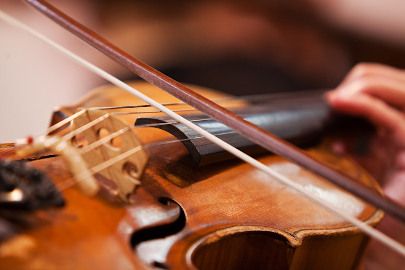 Violin 101 What Is Bow Speed? Understanding Bow Speed in Violin, and