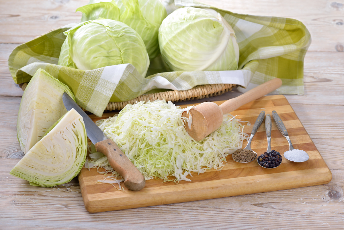 raw cabbage being cut for sauerkraut