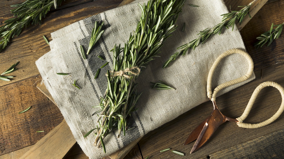 Rosemary Companion Planting 5 Plants to Pair With Rosemary 2022 MasterClass