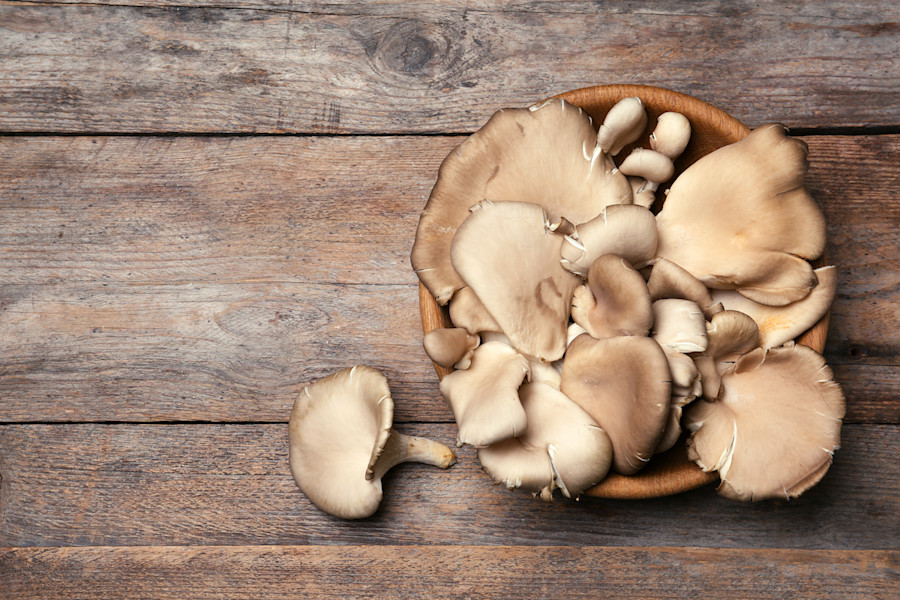 How To Clean Oyster Mushrooms 3 Easy Methods To Try 2022 Masterclass