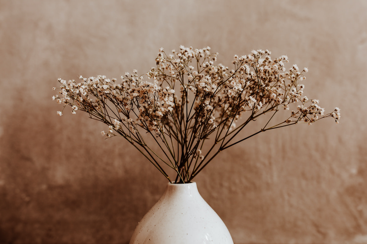 how-to-dry-flowers