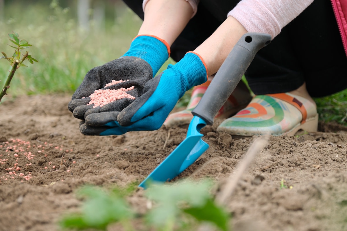 How to Add Calcium to Soil: 6 Ways to Add Calcium to Soil - 2024