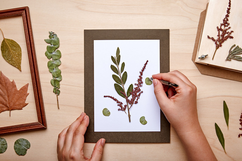 How to Press Flowers: 4 Methods for Pressing Flowers - 2026 - MasterClass