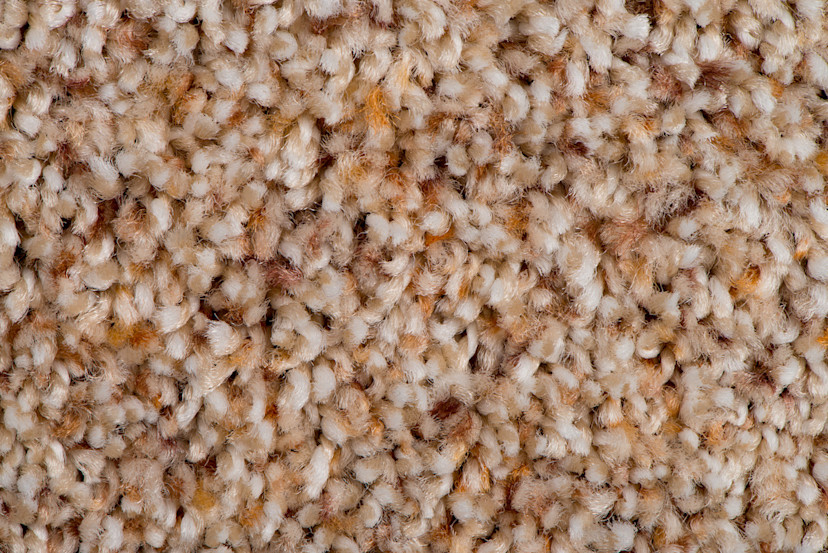 Nylon vs. Polyester Carpet How the Fiber Options Differ 2024