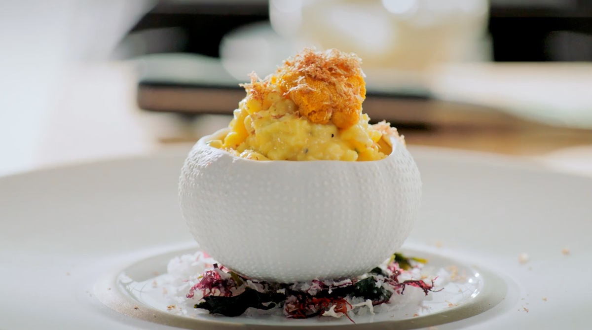 Gordon Ramsay's sea urchin scrambled eggs in white bowl