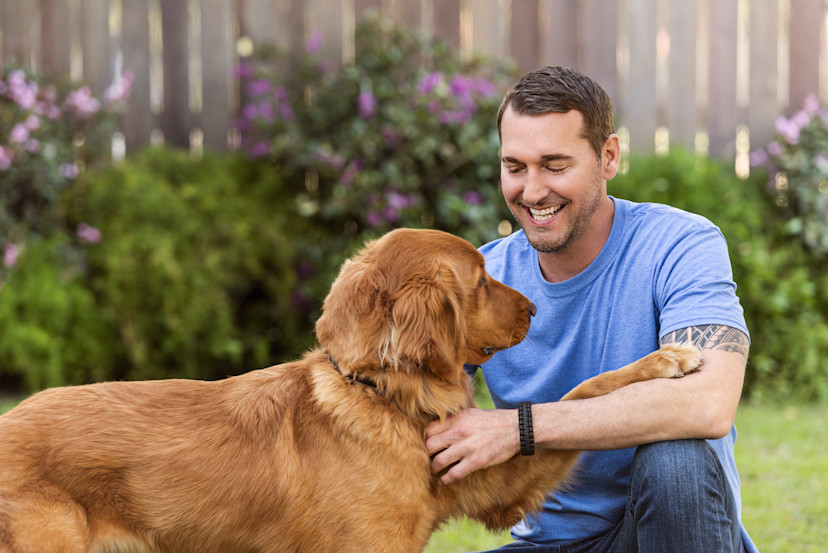 10 Dog Training Tools From Brandon McMillan - 2026 - MasterClass