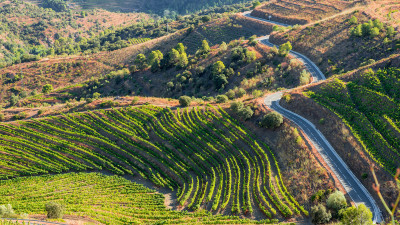 learn-about-the-spanish-priorat-wine-region