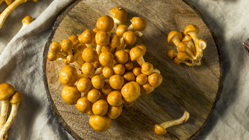 nameko-mushrooms-how-to-cook-with-nameko-mushrooms-2024-masterclass