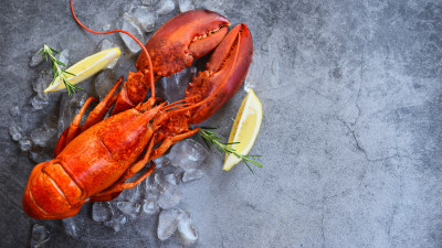 how-and-where-to-buy-live-lobster
