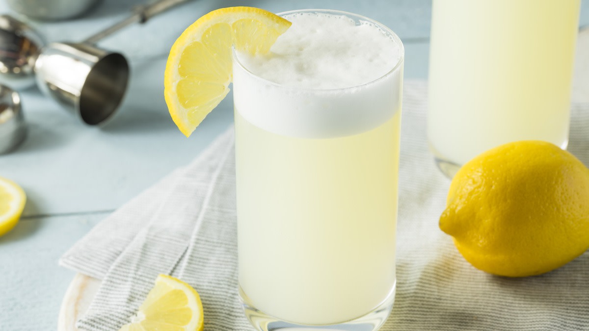 How to Make a Gin Fizz Classic Gin Fizz Recipe 2022 MasterClass