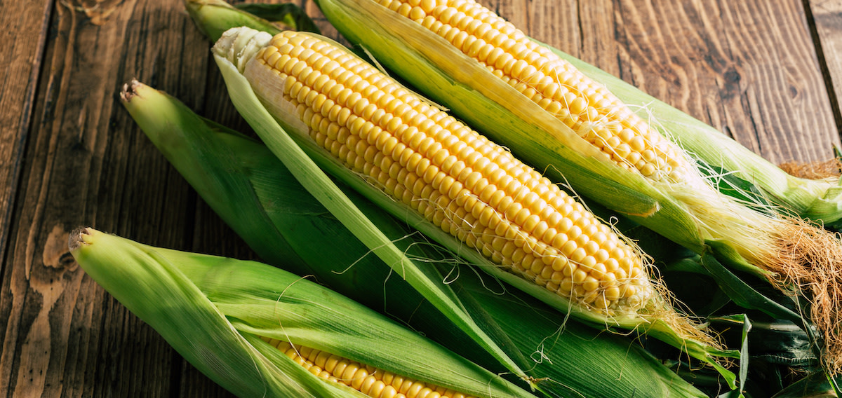 How to Cut Corn Off the Cob: Tips for Cutting Corn off the Cob - 2024 ...