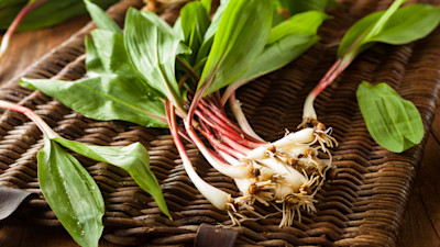 how-to-pickle-and-grill-with-ramps