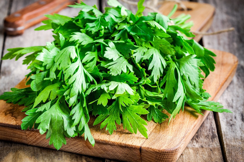How to Store Parsley 5 Easy Storage Methods for Fresh Parsley 2024