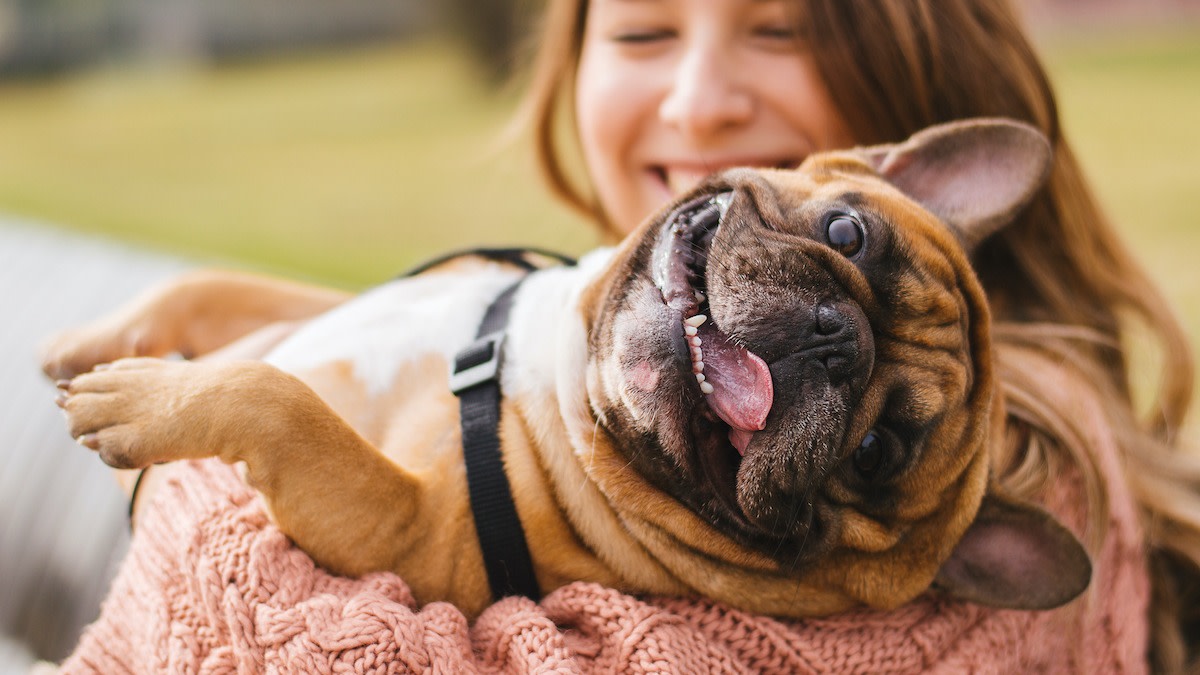 How to Get a Dog to Like You: 5 Ways to Bond With Your Dog - 2024 ...