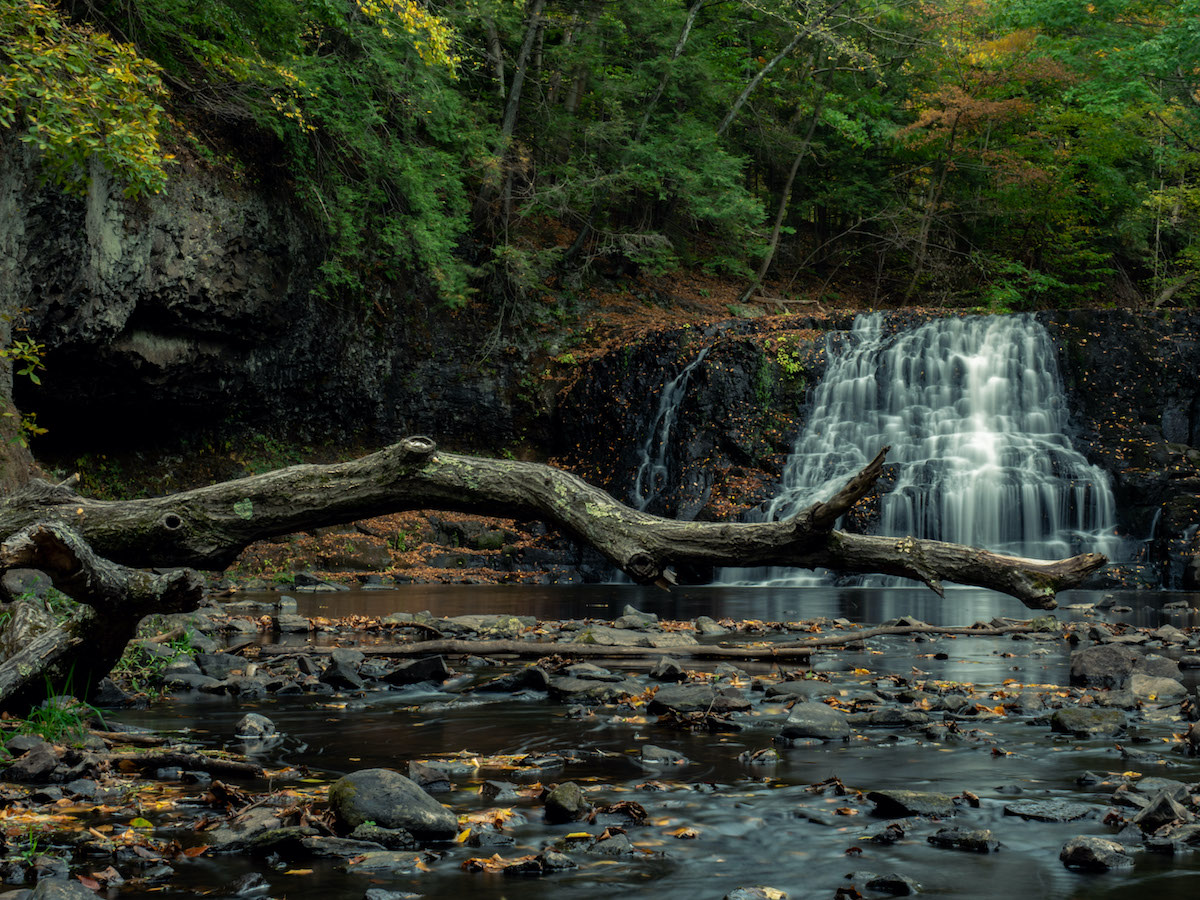 “Fall in New England” by Frank Piercy