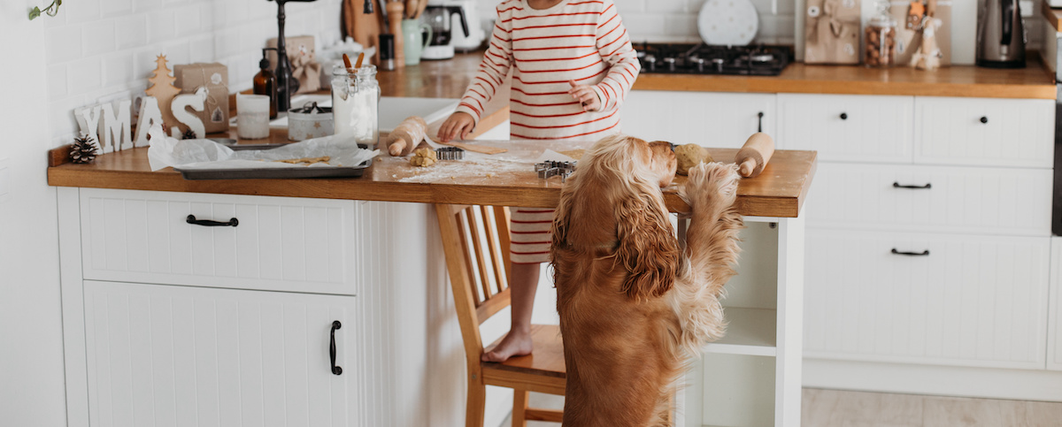 can dogs eat almond flour