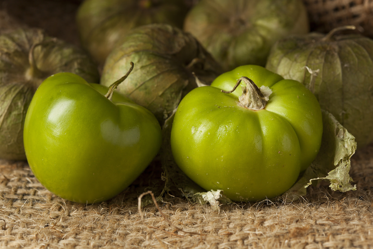 Learn About Tomatillos Origins, Cooking Tips, and Easy Fried Tomatillo