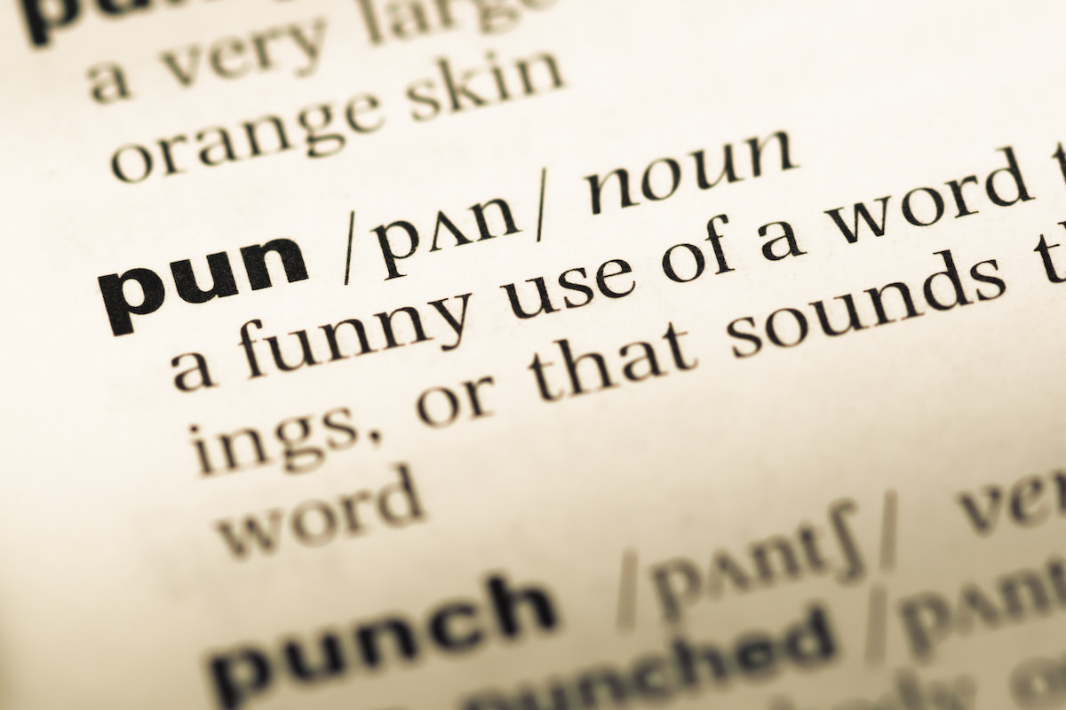 What Is A Pun Learn About The Different Types Of Puns In Literature