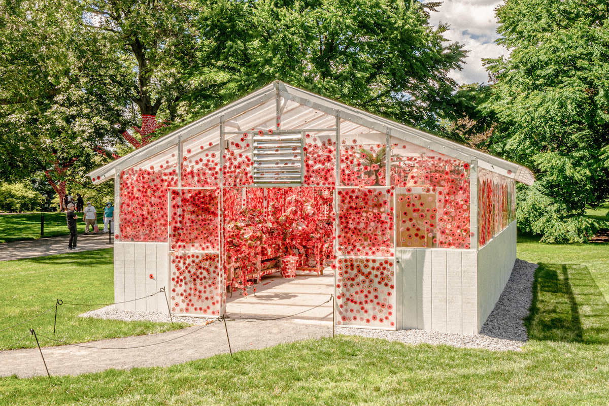 Flower Obsession by Yayoi Kusama