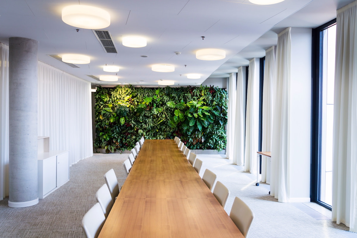 Biophilic Design Guide: 4 Examples of Biophilic Design - 2022 - MasterClass