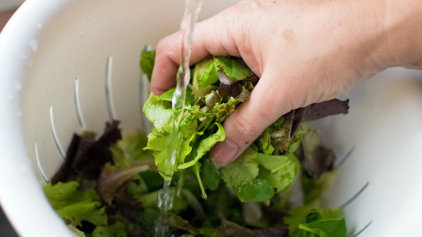 How to Store Lettuce: Tips for Keeping Lettuce Fresh - 2024 - MasterClass