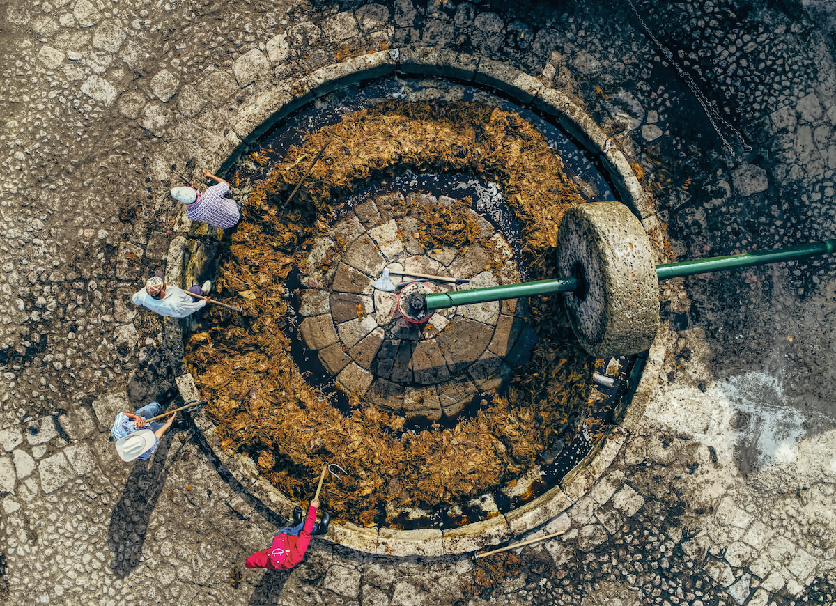 How Is Mezcal Produced?