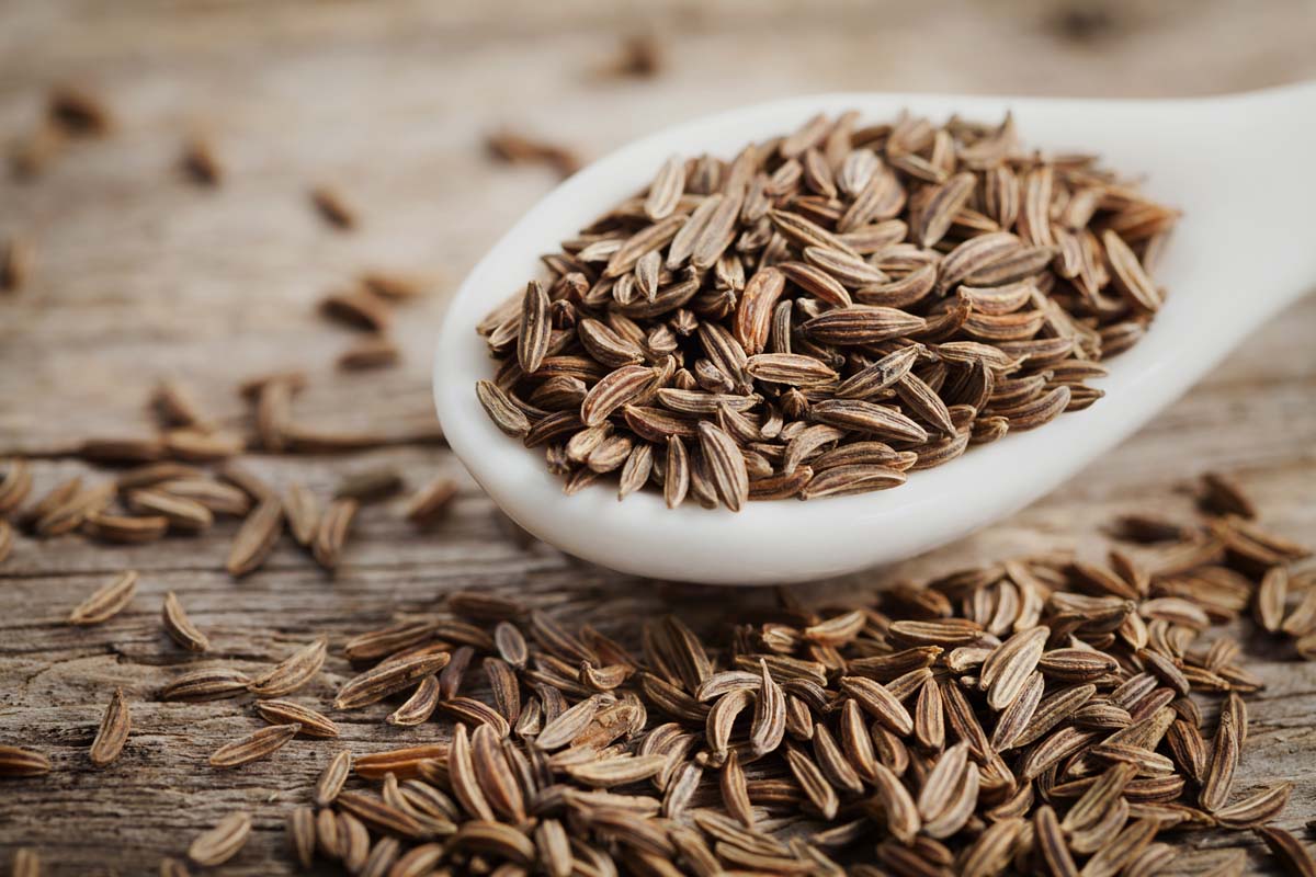 What Is Cumin? Learn Benefits and Culinary Uses of Cumin Spice 2022