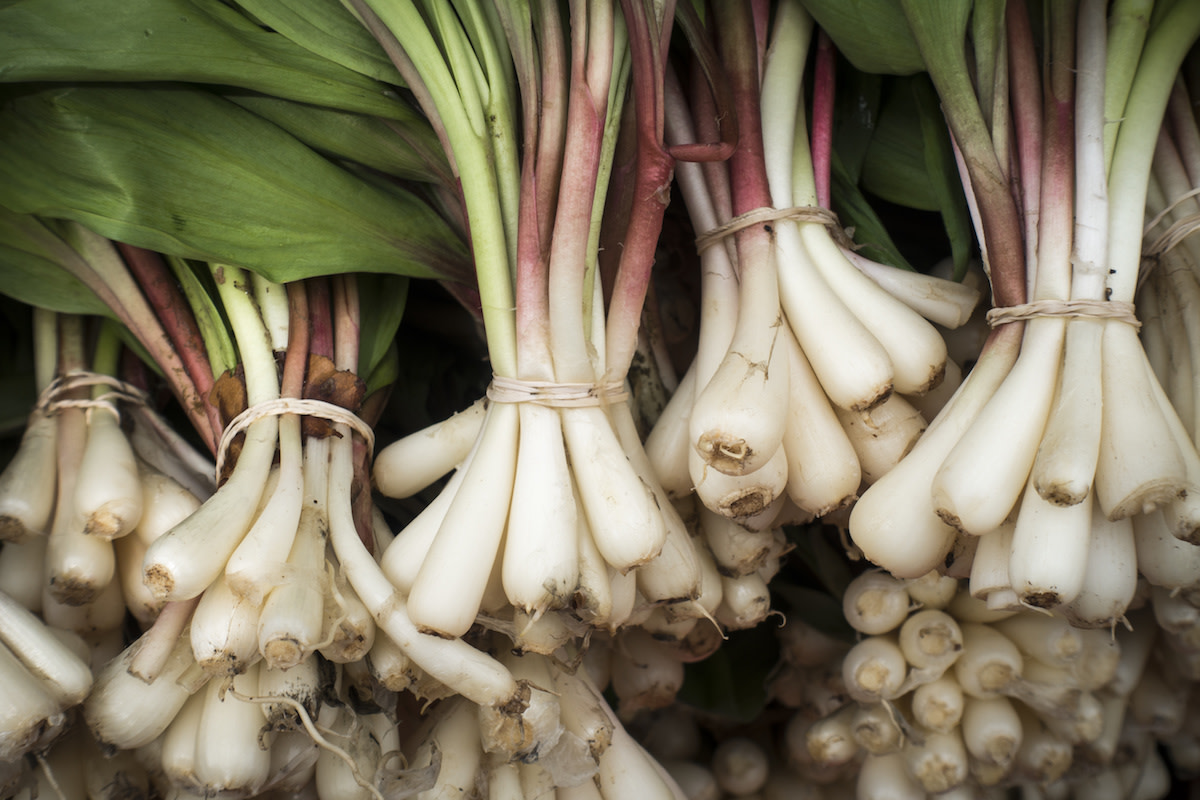 Bunches of ramp vegetables