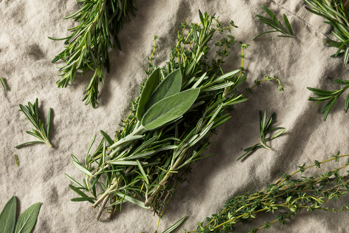 Sage Companion Planting Guide 5 Plants To Pair With Sage 2022